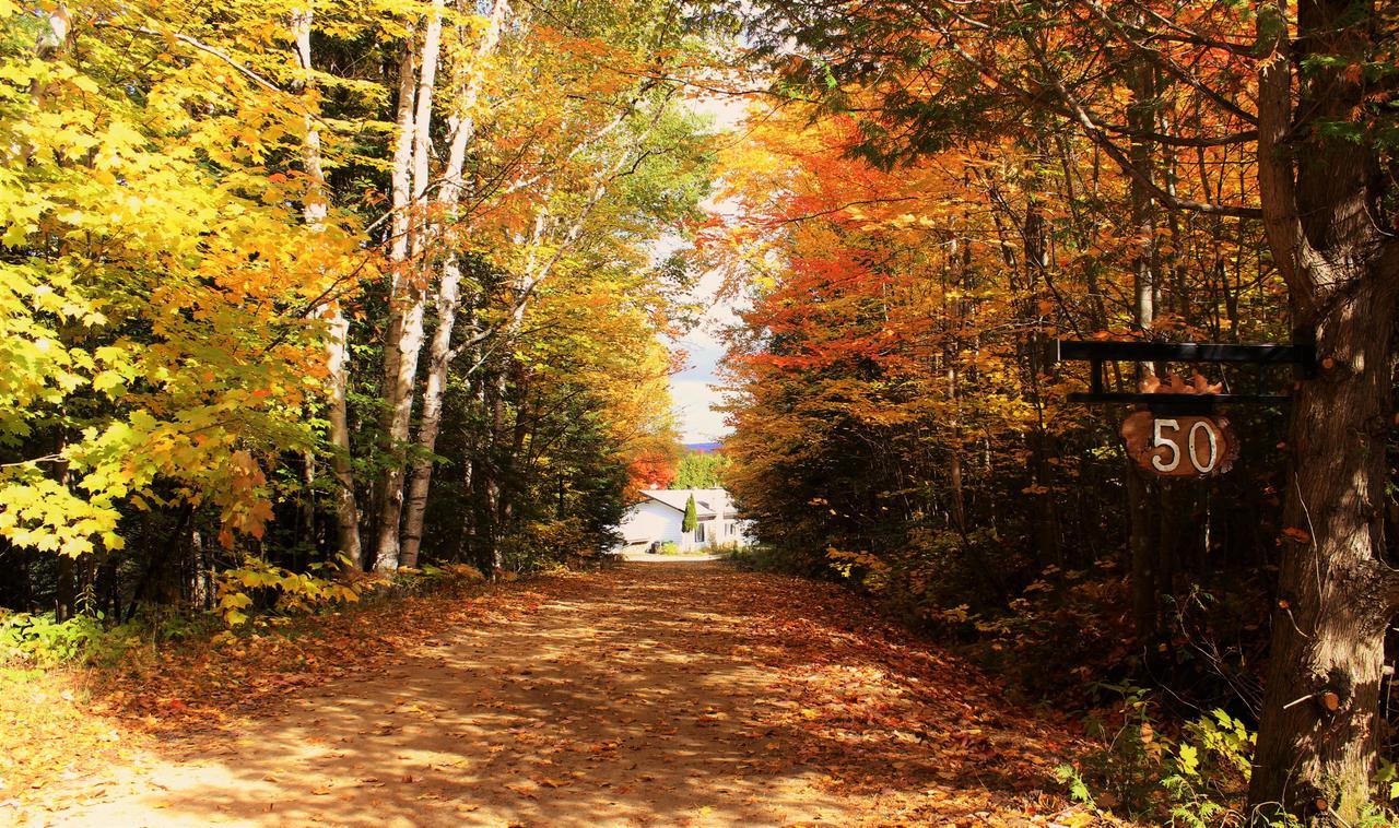 Chalet Riverain Crds Tremblant Lac Superieur Ngoại thất bức ảnh